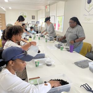 Vermicomposting Workshop - Village Exchange